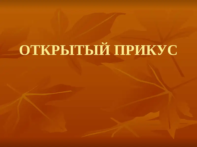 ОТКРЫТЫЙ ПРИКУС