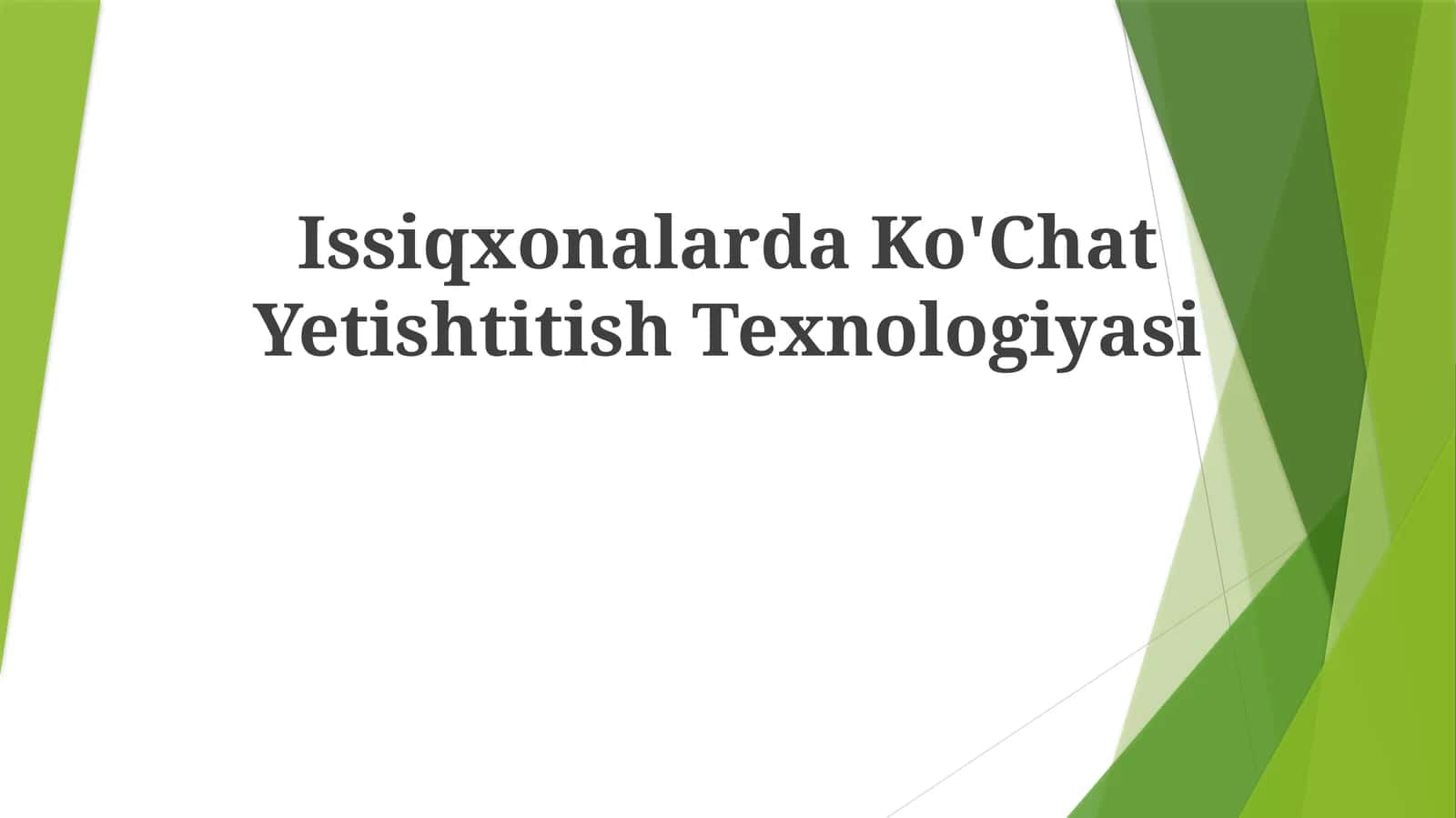 Issiqxonalarda Ko'Chat Yetishtitish Texnologiyasi