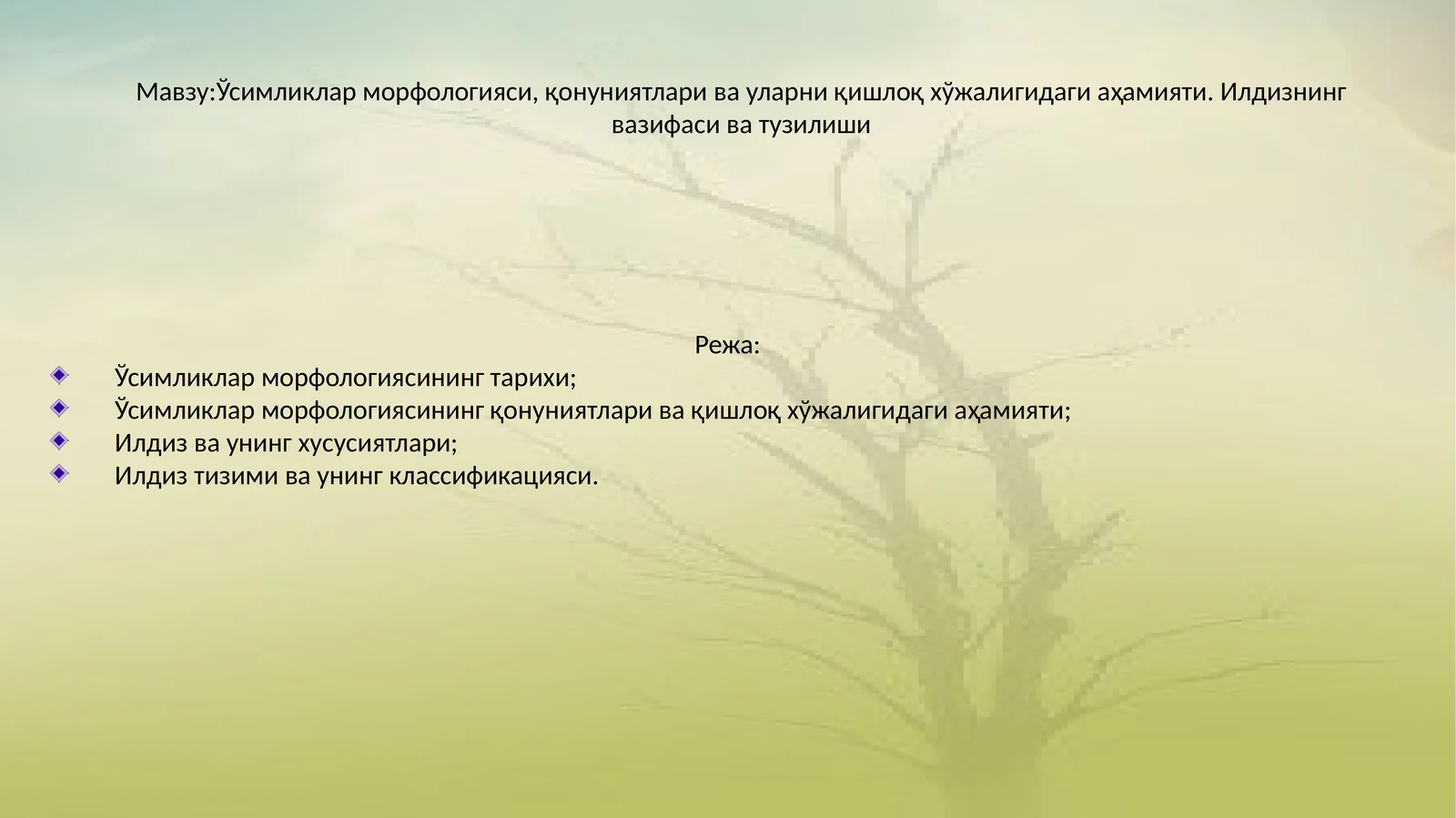 Ўсимликлар морфологияси, қонуниятлари ва уларни қишлоқ хўжалигидаги аҳамияти. Илдизнинг вазифаси ва тузилиши