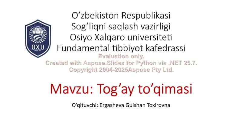 Tog’ay to’qimasi