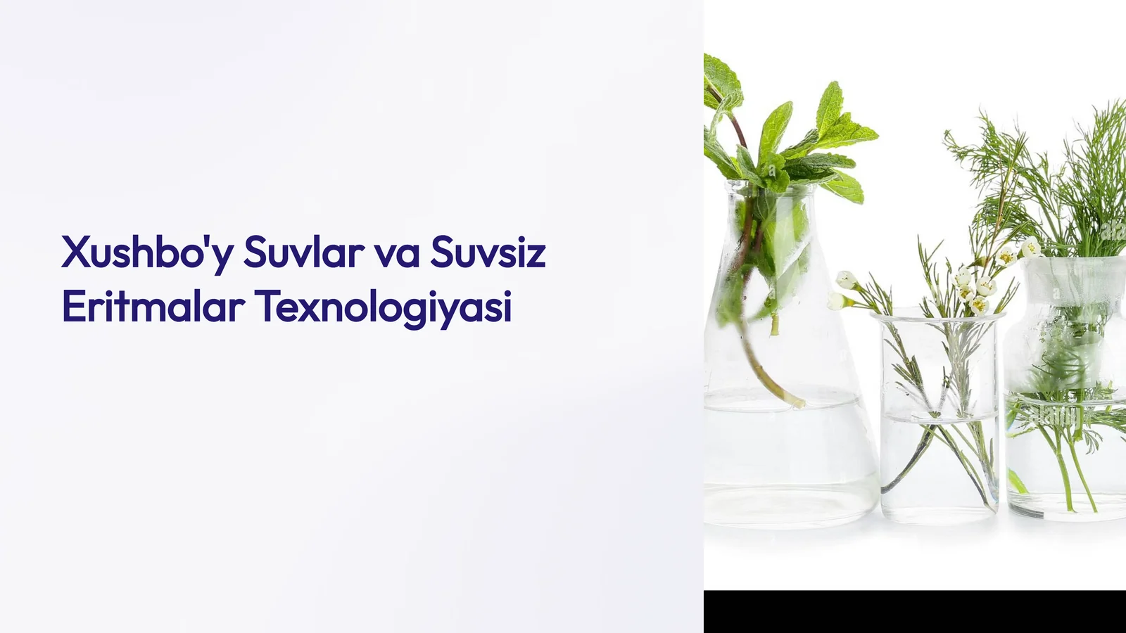 Xushbo'y Suvlar va Suvsiz Eritmalar Texnologiyasi