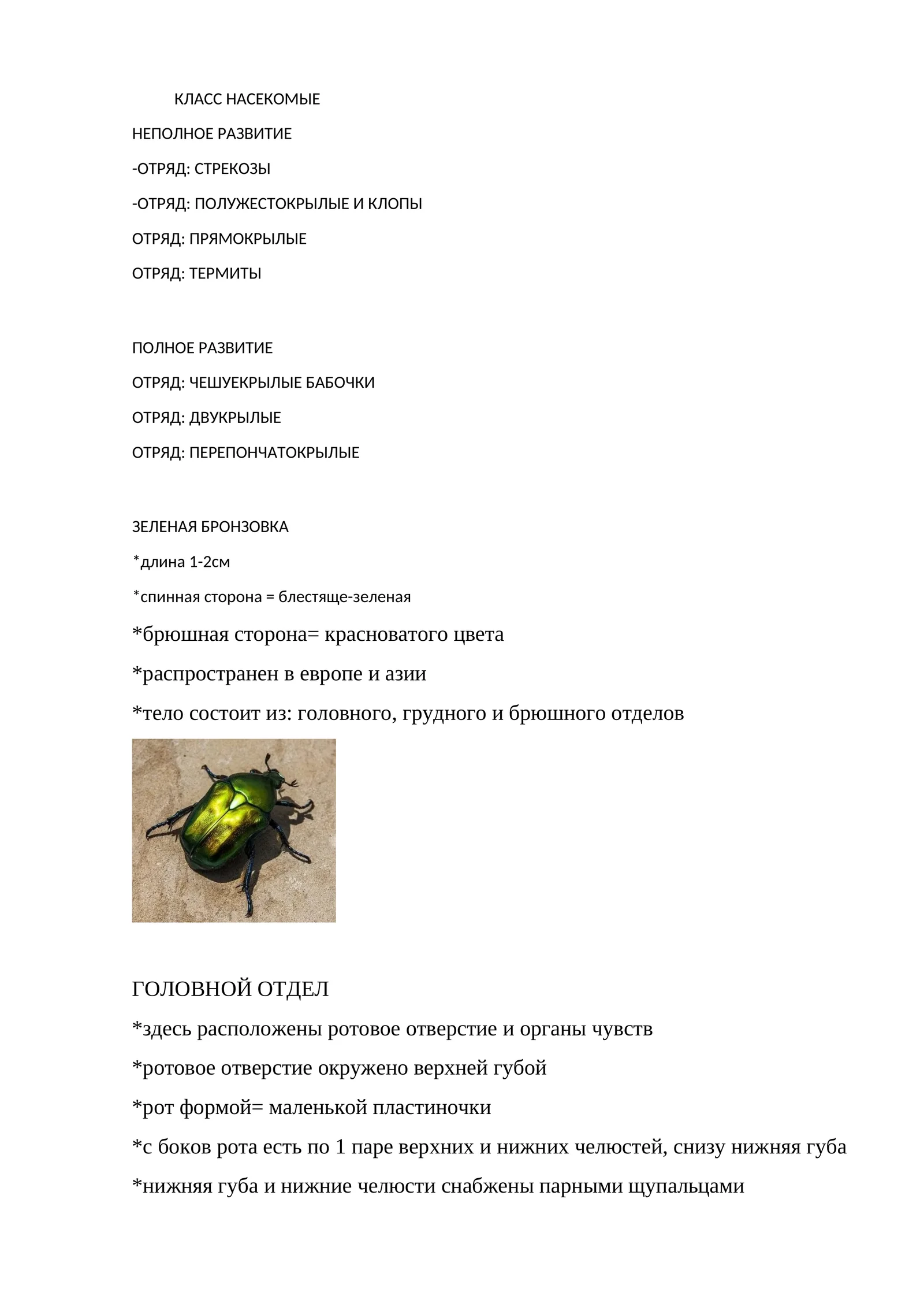 ЗЕЛЕНАЯ БРОНЗОВКА