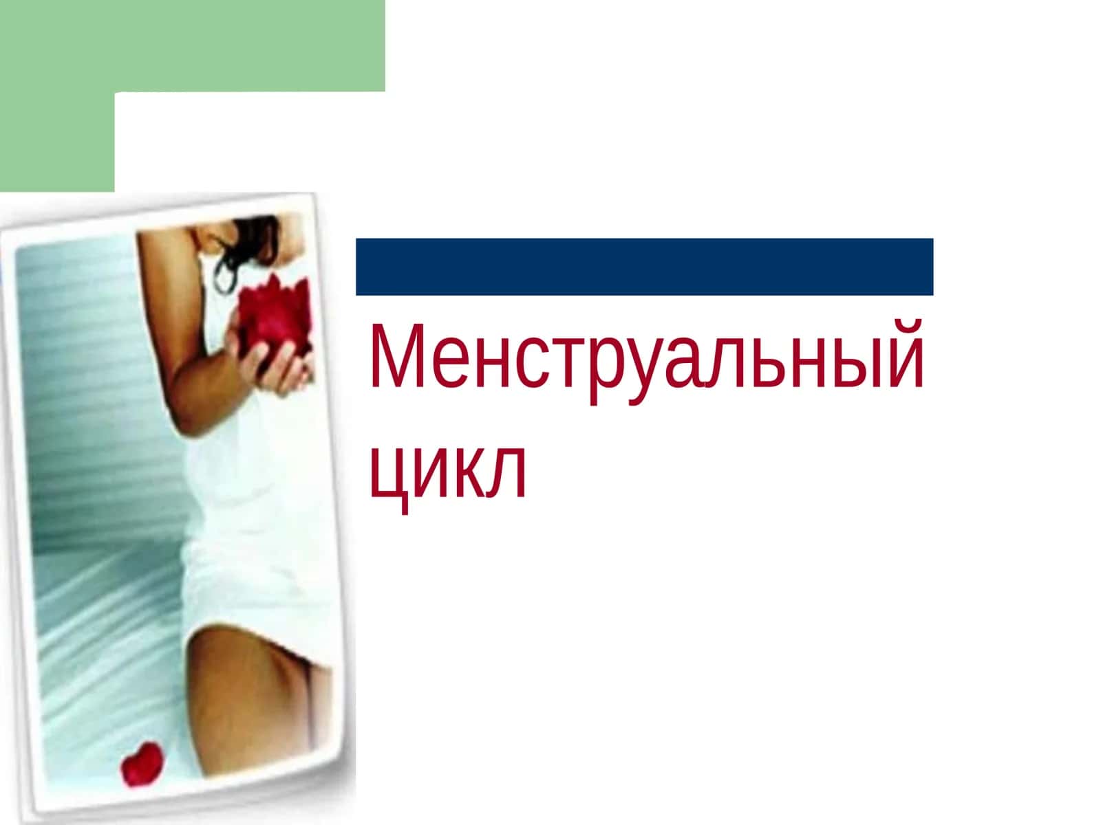 Менструальный цикл