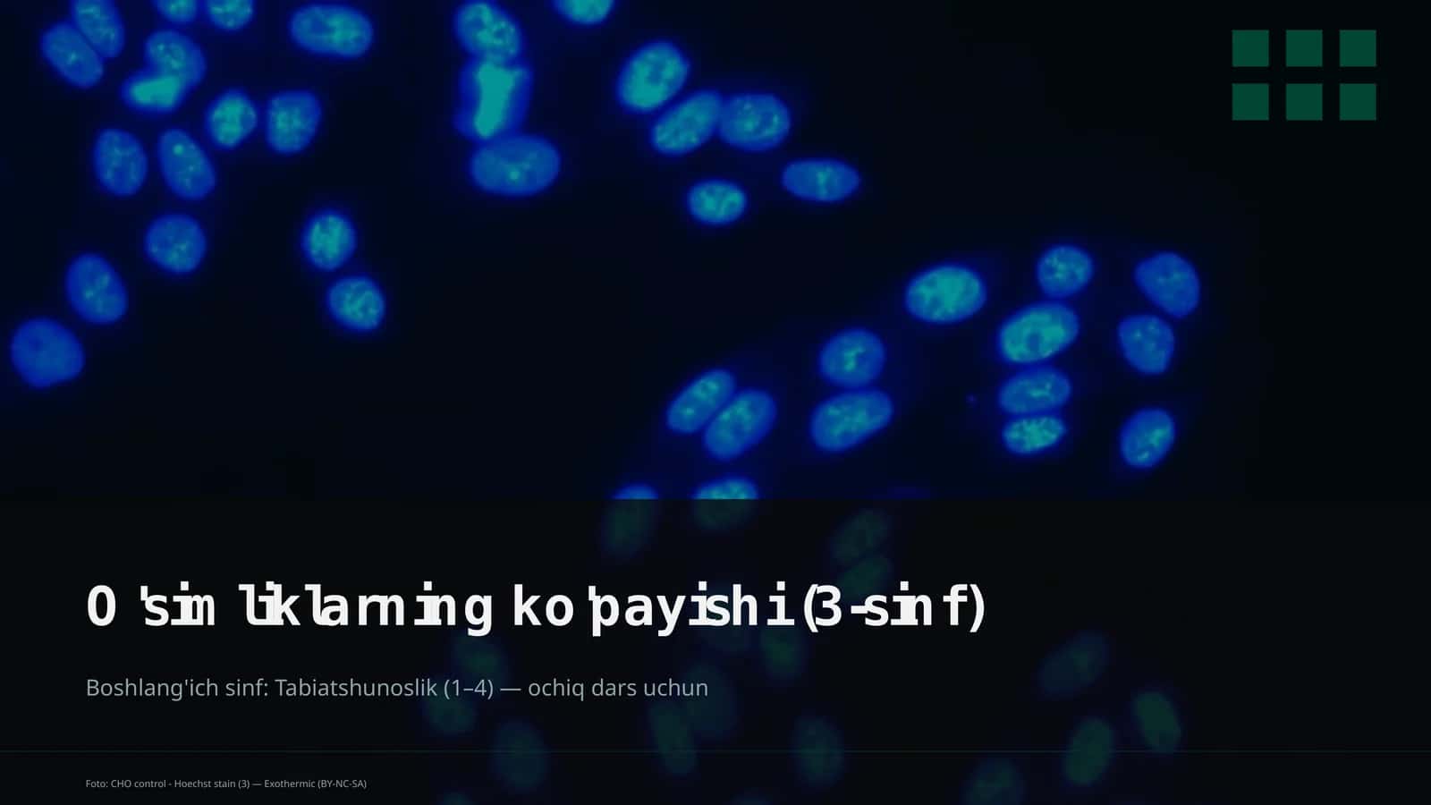 O'simliklarning ko'payishi (3-sinf)