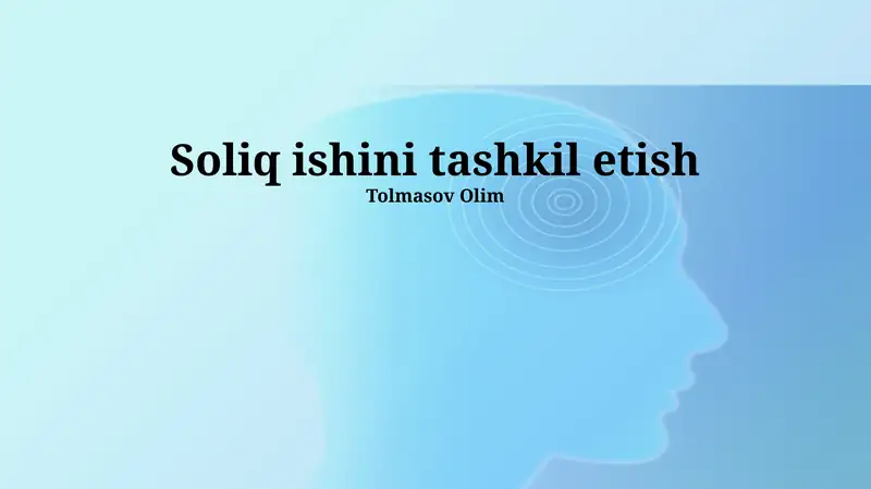 Soliq Auditlari
