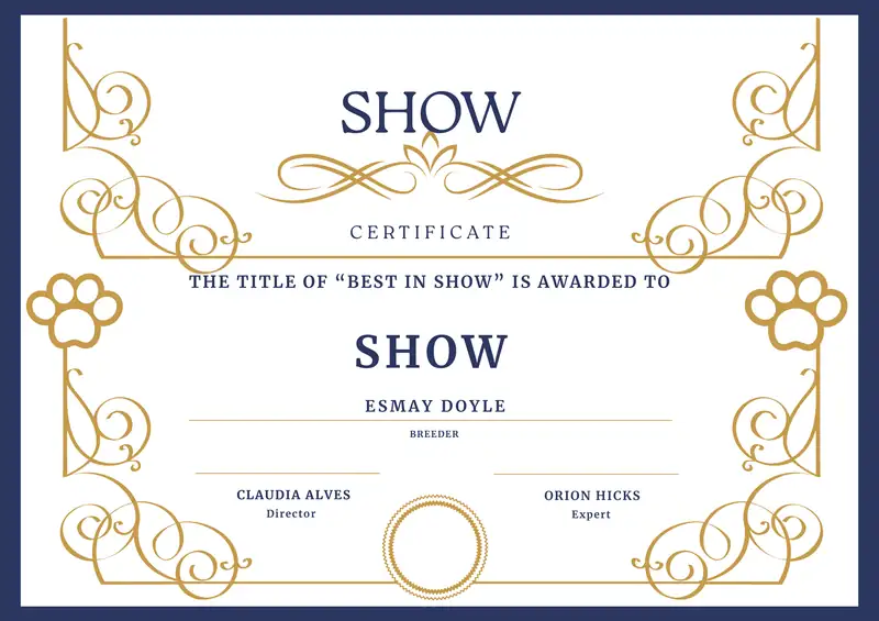 Best in Show Certificate