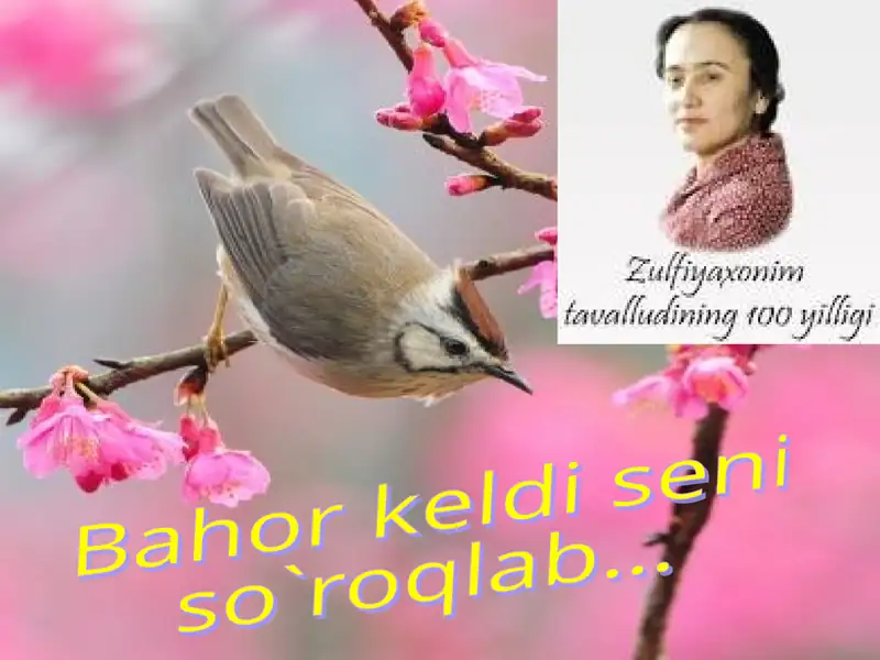 Zulfiyahayoti va ijodi