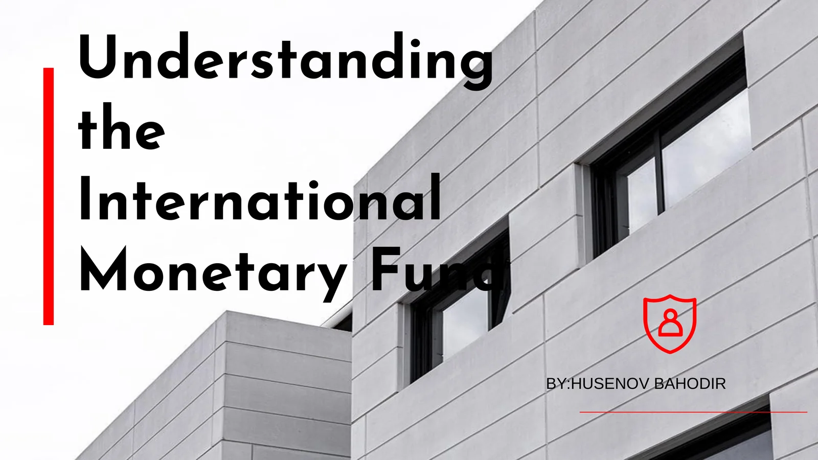 Understanding the International Monetary Fund