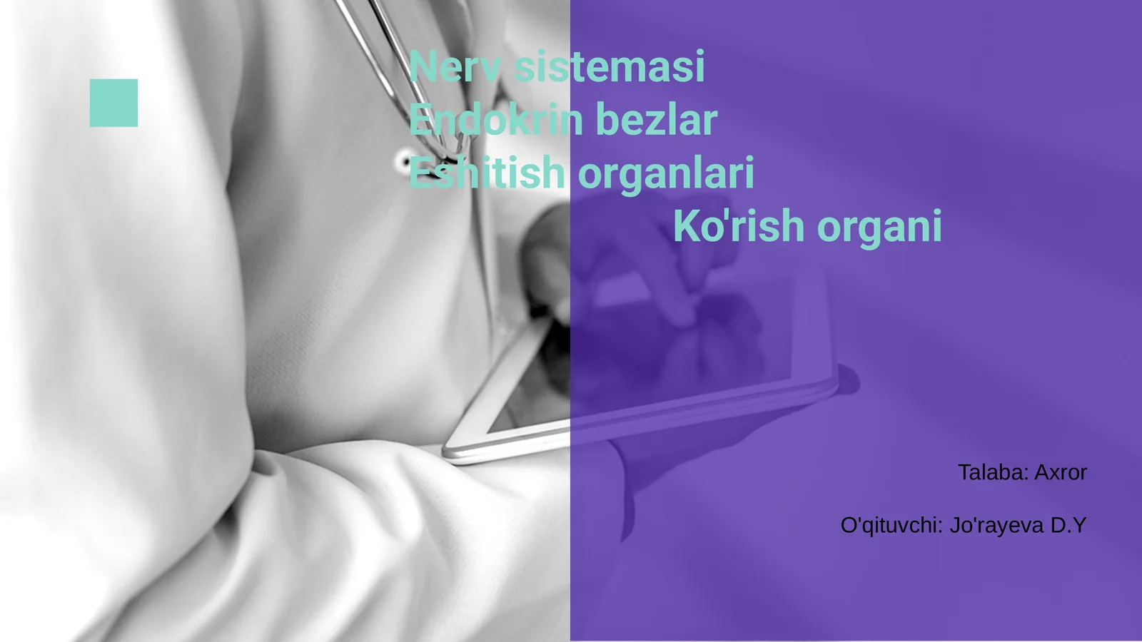 Nerv sistemasi