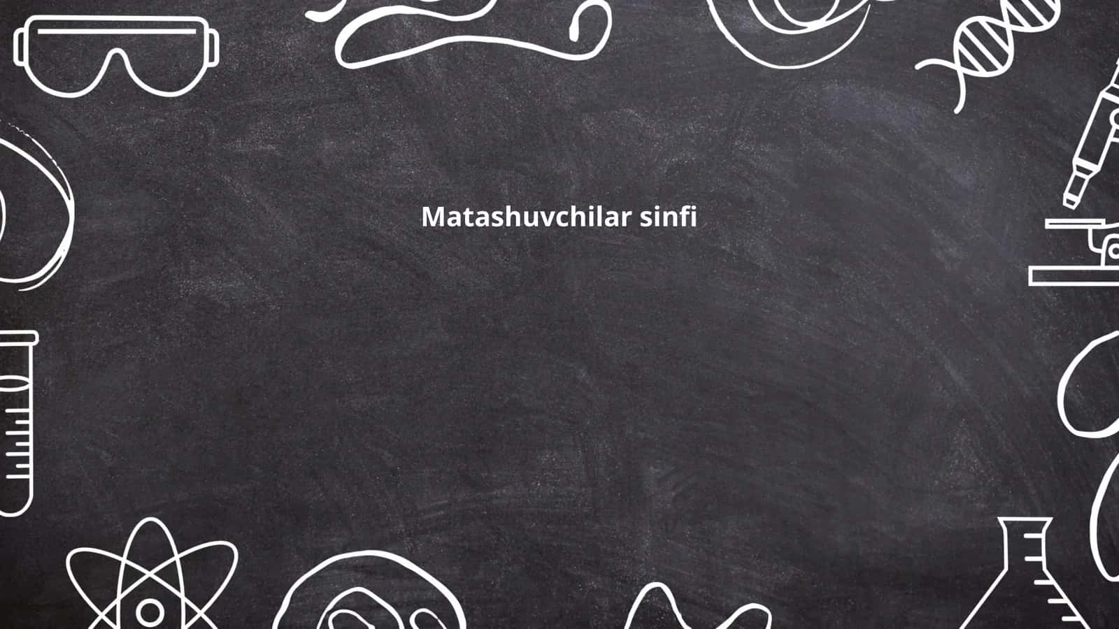 Matashuvchilar sinfi
