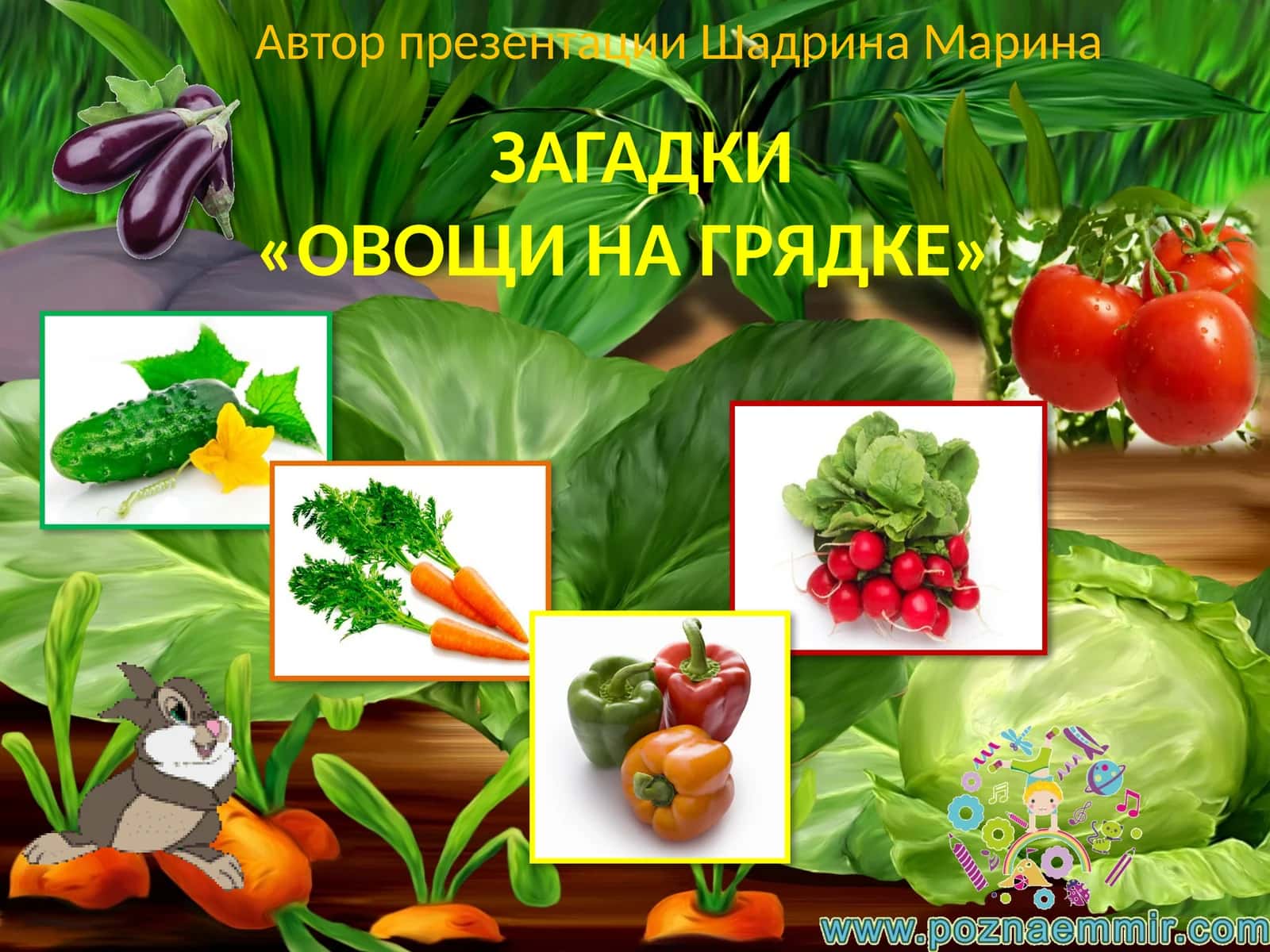 ЗАГАДКИ«ОВОЩИ НА ГРЯДКЕ»