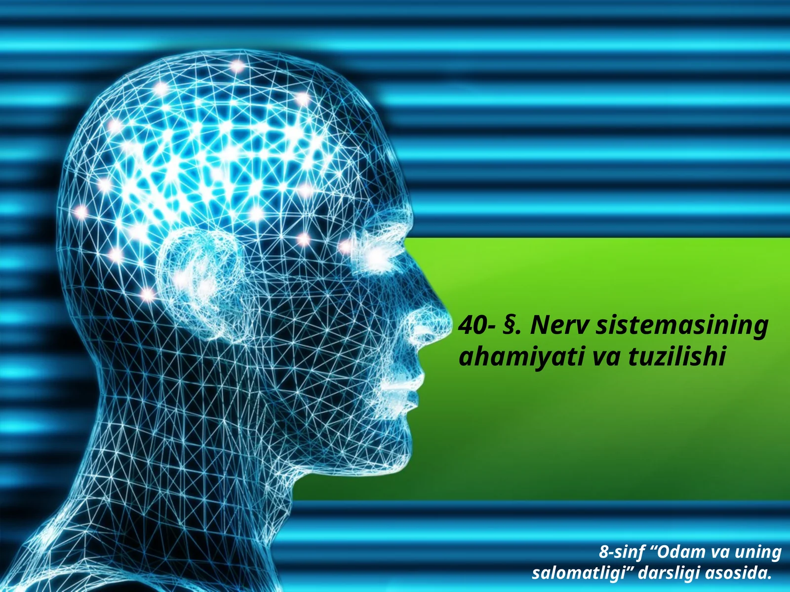 Nervsistemasining ahamiyati va tuzilishi