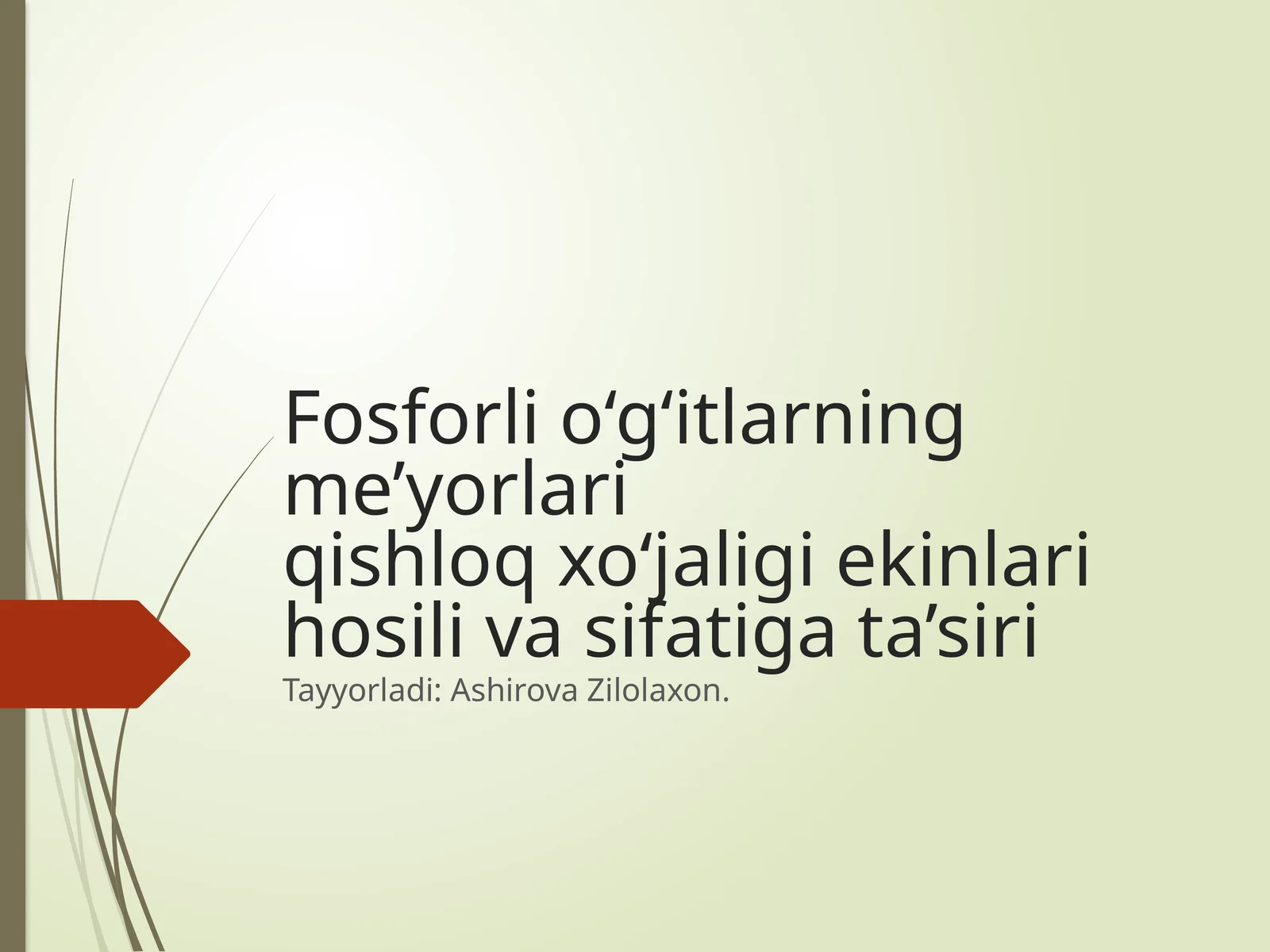 Fosforli o‘g‘itlarning me’yorlari