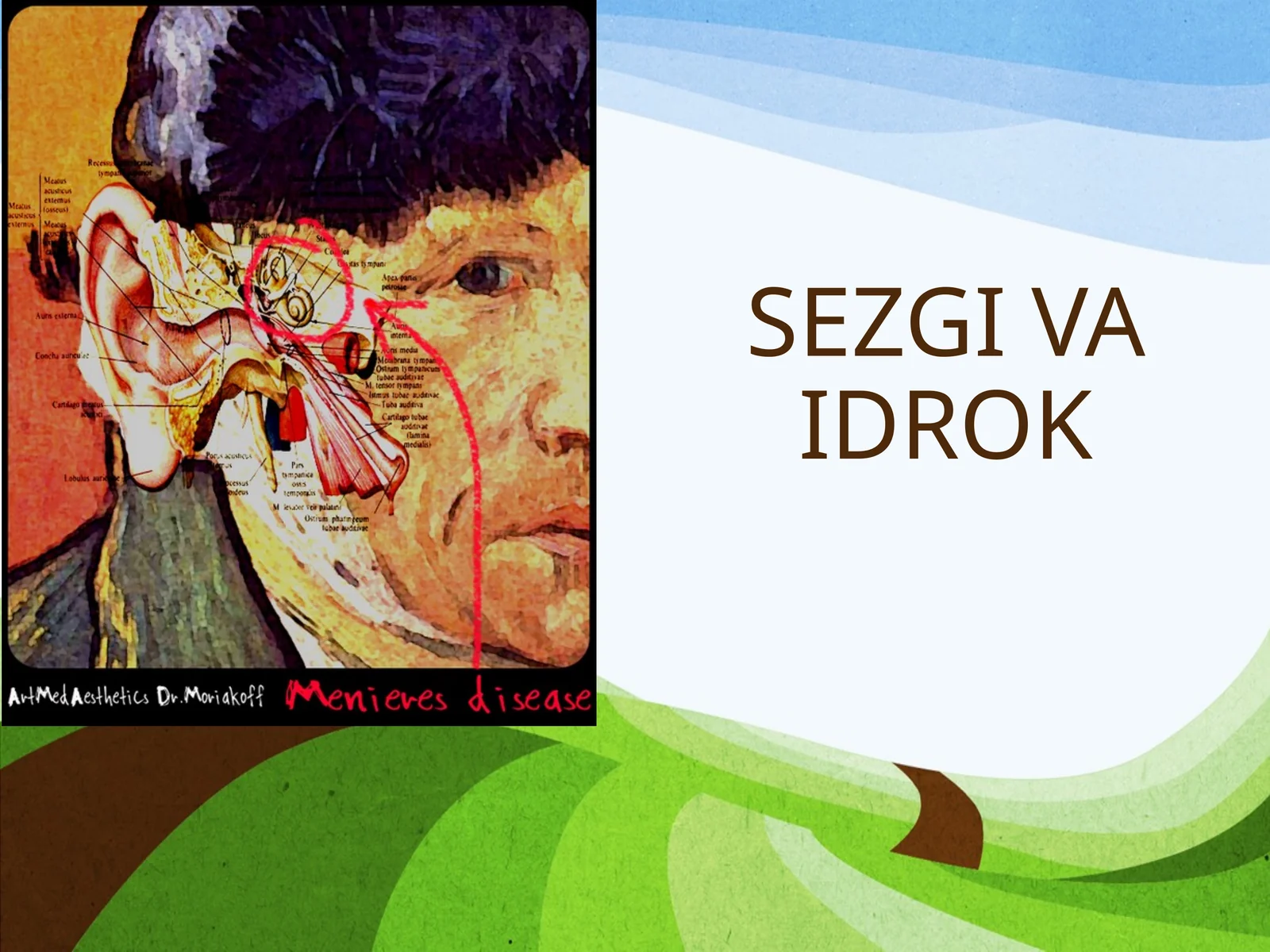 SEZGI VA IDROK