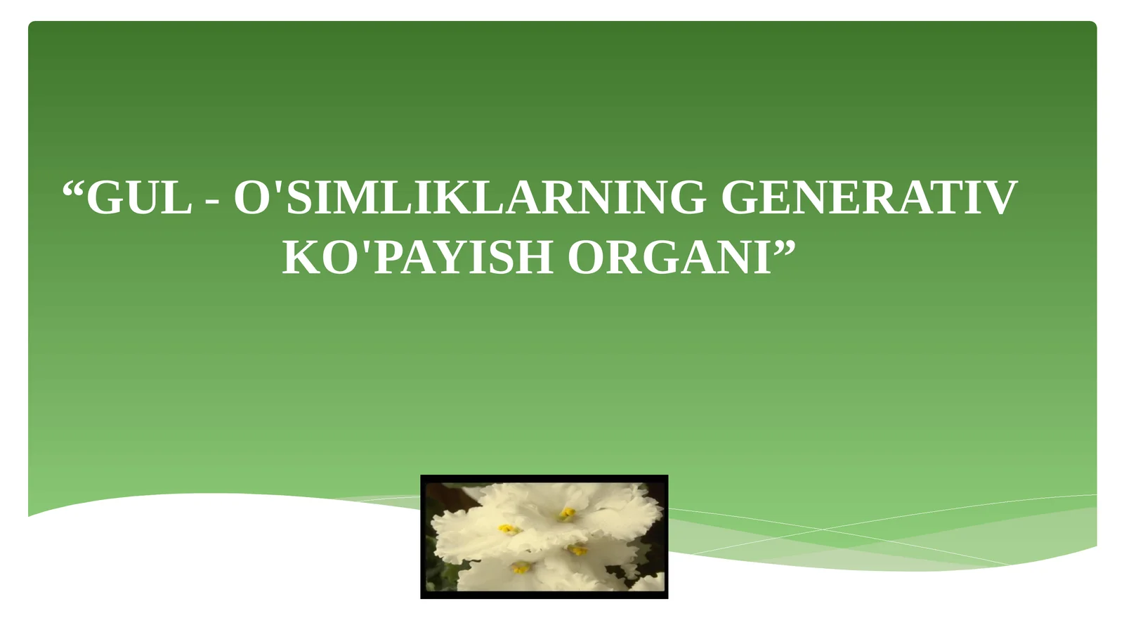 GUL-O'SIMLIKLARNING GENERATIV KO'PAYISH ORGANI