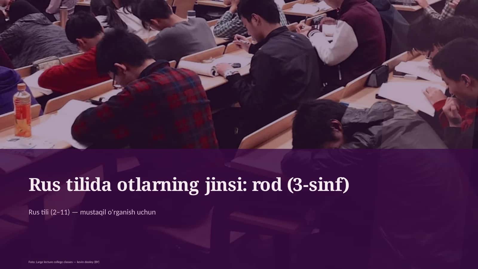 Rus tilida otlarning jinsi: rod (3-sinf)