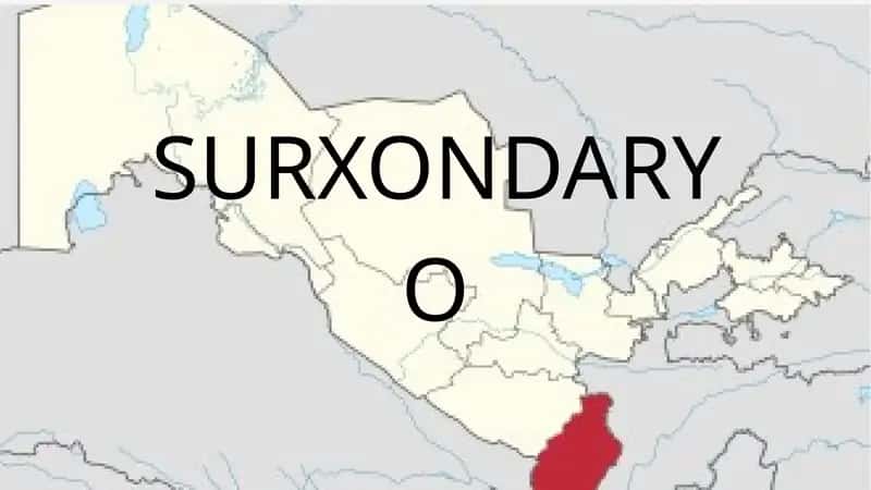 Surxondaryo viloyati