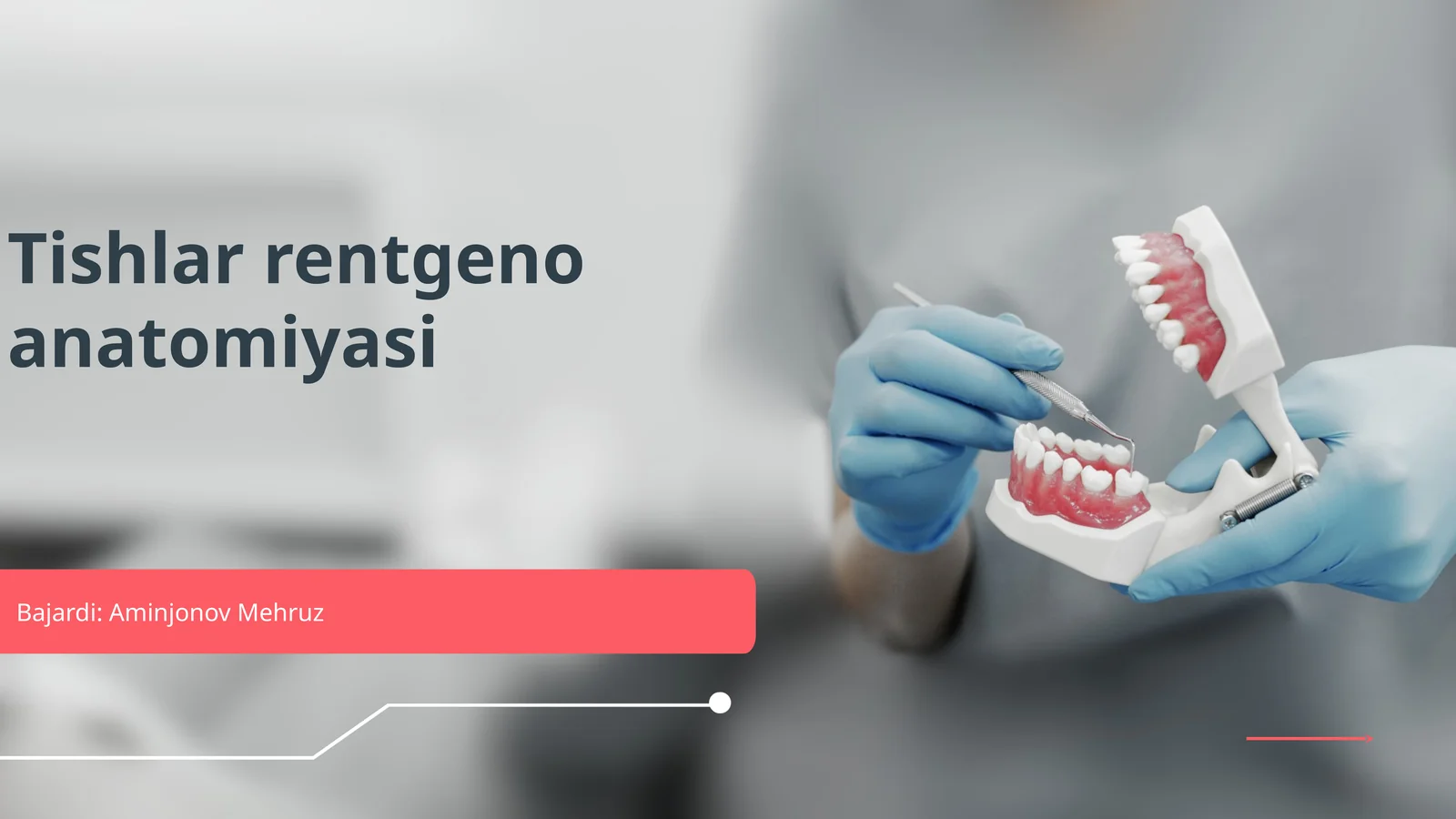 Tishlar rentgeno anatomiyasi