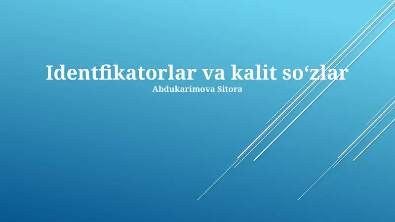 Identifikatorlar va kalit soʻzlar
