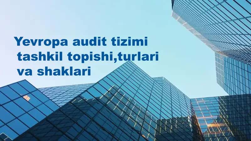 Yevropa audit tizimi