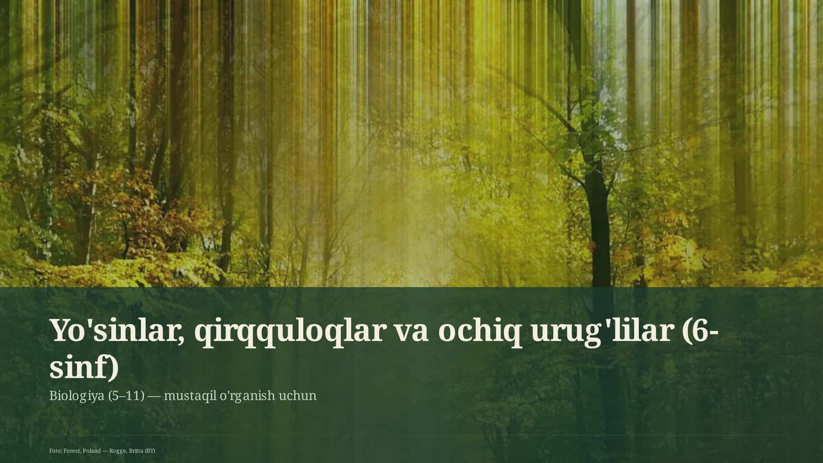Yo'sinlar, qirqquloqlar va ochiq urug'lilar (6-sinf)