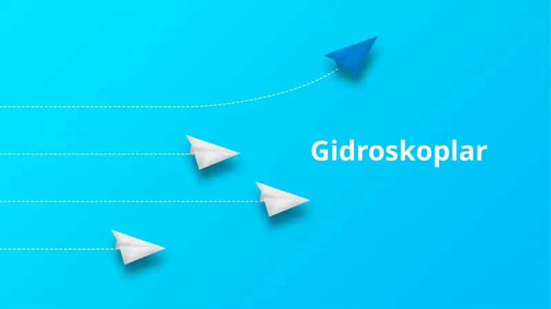 Giroskoplar
