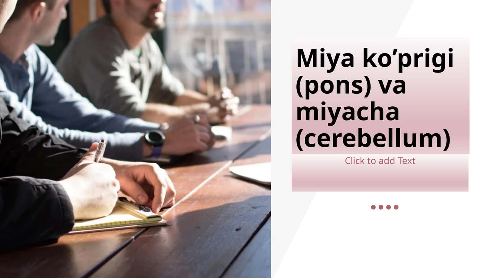 Miyako’prigi(pons)