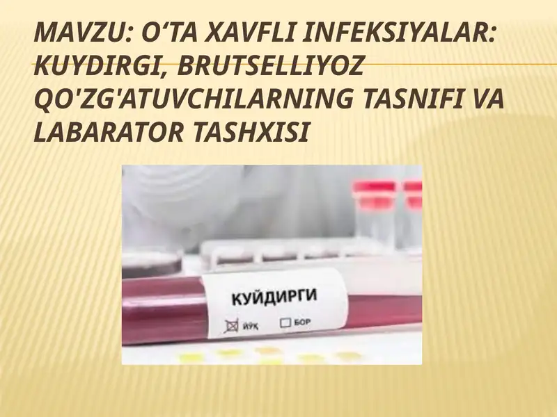 O‘ta xavfli infeksiyalar: kuydirgi, brutselliyoz qo'zg'atuvchilarning tasnifi va labarator tashxisi