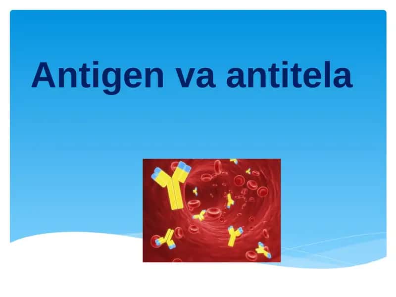 Antigen va Antitela