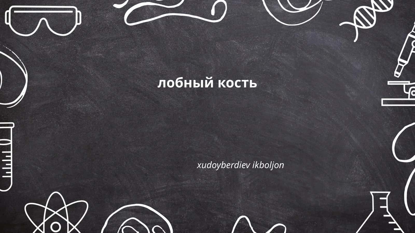 Анатомия лобной кости