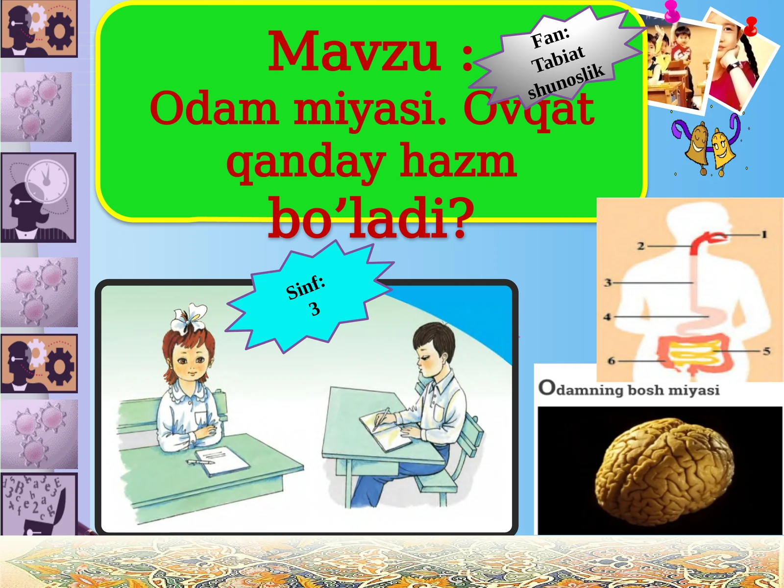 3-sinf Tabiiy Fan (Science) Odam miyasi. Ovqat qanday hazm bo'ladi