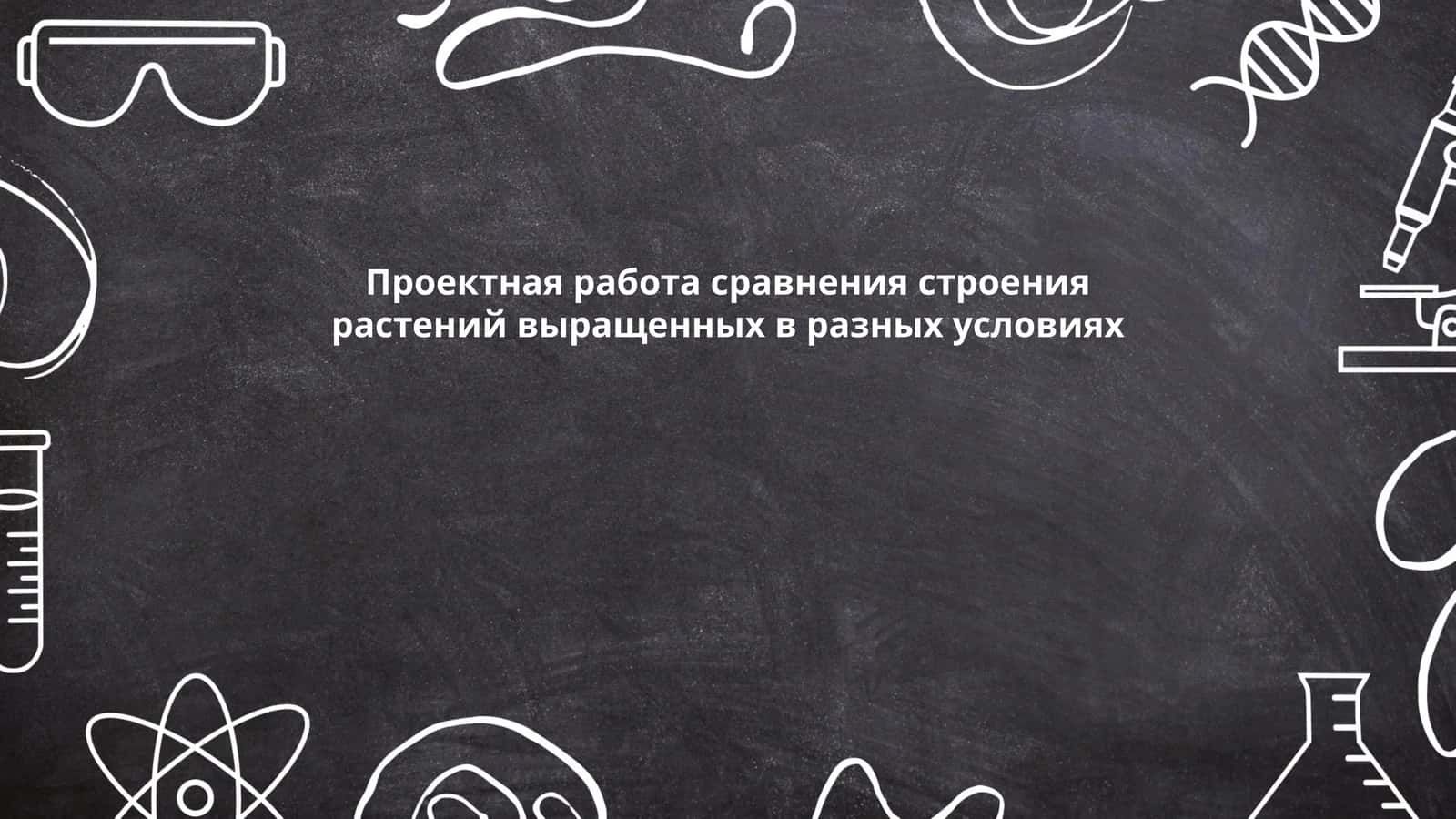 Морфология корневой системы растений
