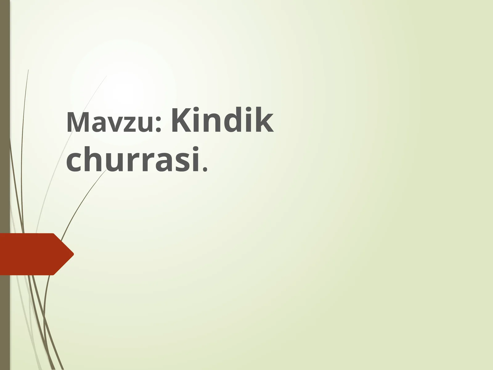 Kindik churrasi