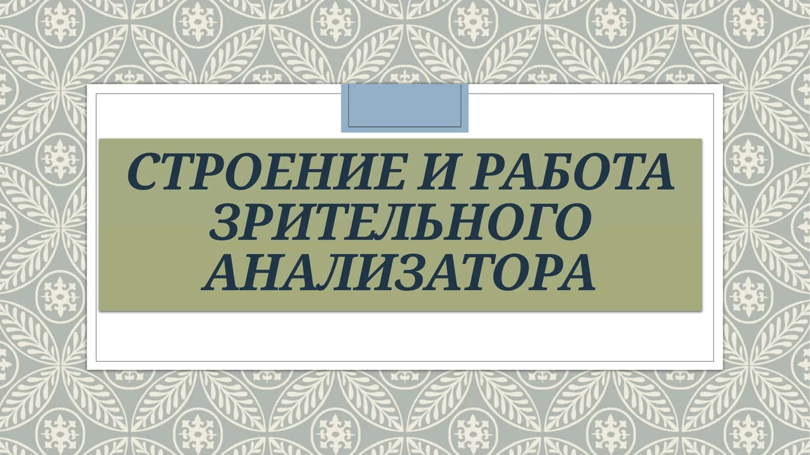 Ziraklar tuzilishi va ishi