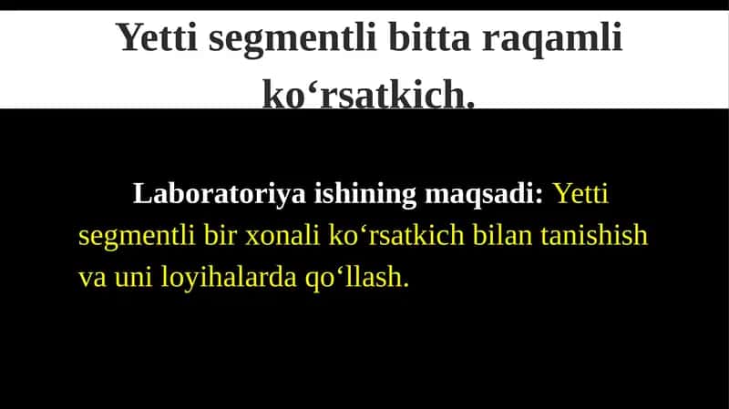 Yettisegmentli bittaraqamlik ko‘rsatkich