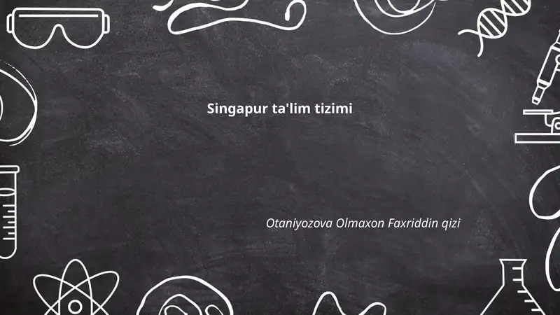Singapur ta'lim tizimi