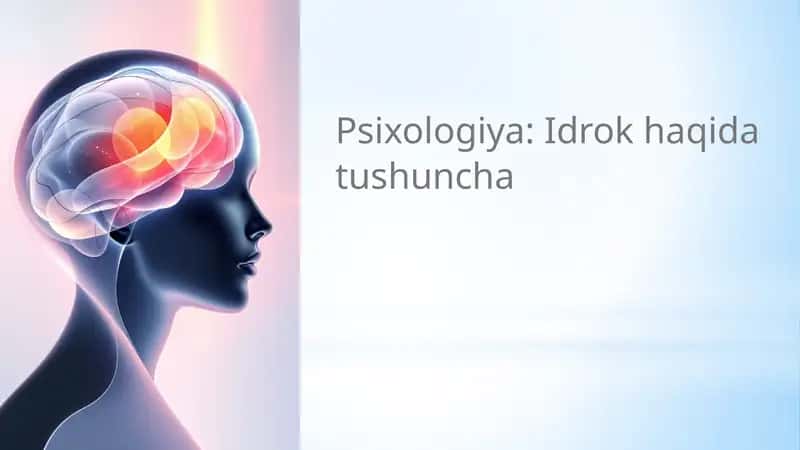 Idrok haqida tushuncha