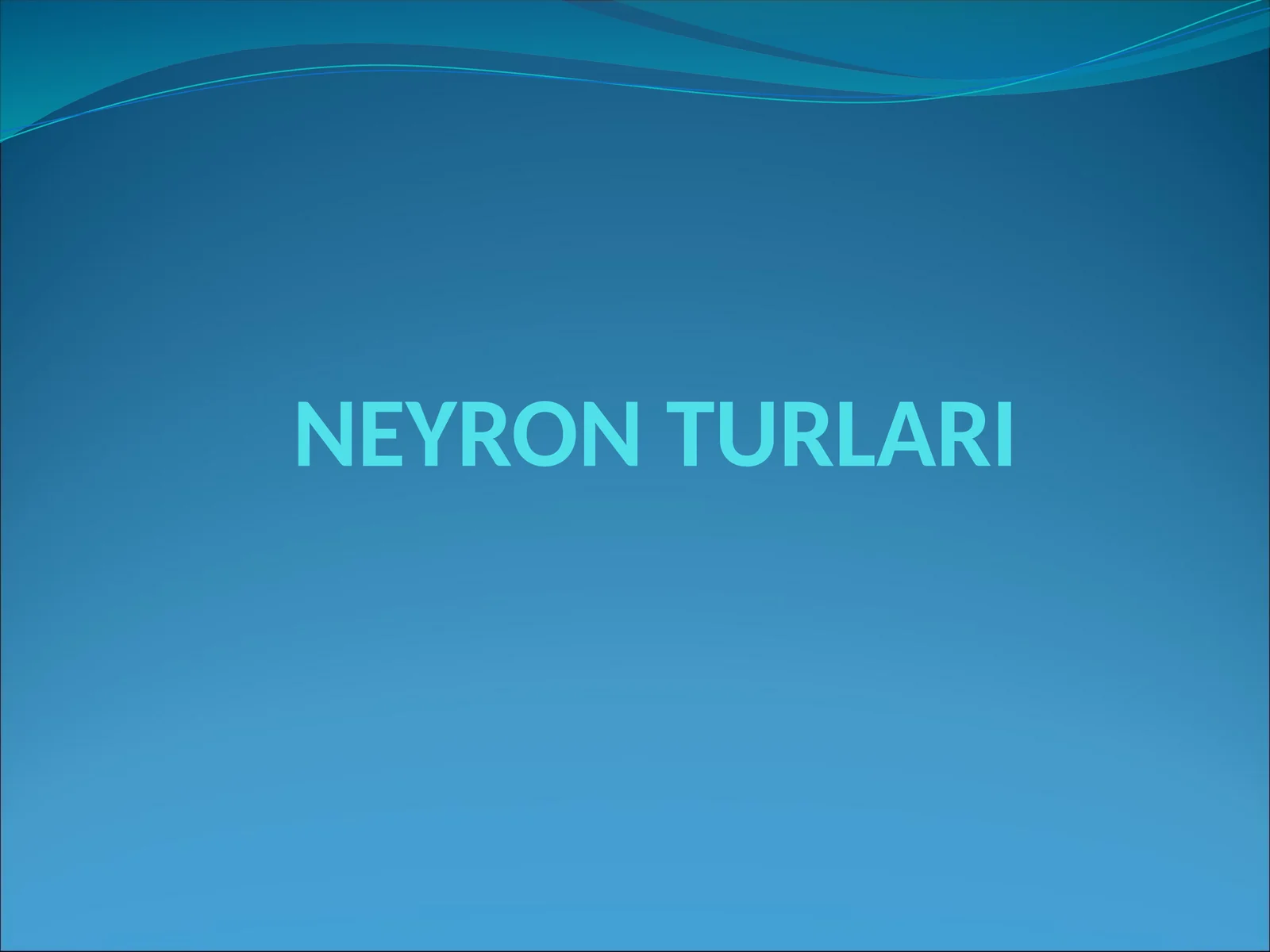 NEYRON TURLARI