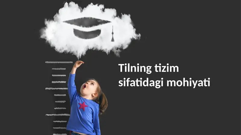 Buxgalteriya hisobi tizimining mohiyati