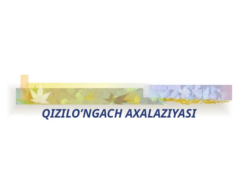 QIZILO’NGACH AXALAZIYASI
