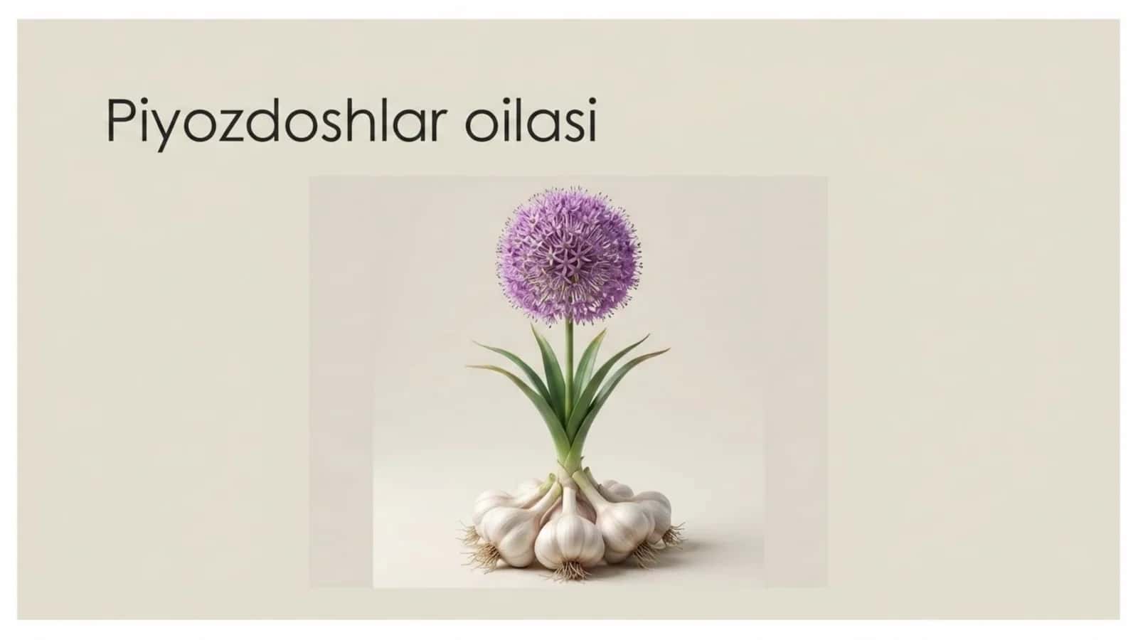 Piyozdoshlar oilasi