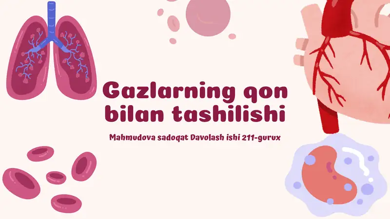 Nafas yo'llari fiziologiyasi va o'pkada gazlar almashinuvi