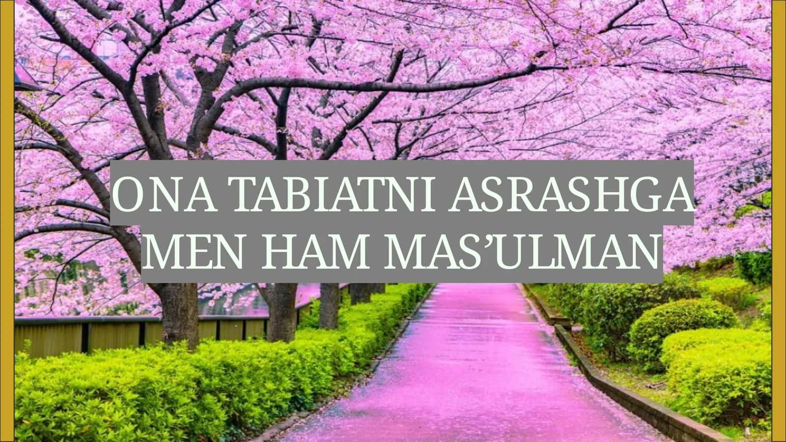 ONA TABIATNI ASRASHGA MEN HAM MA'SULMAN