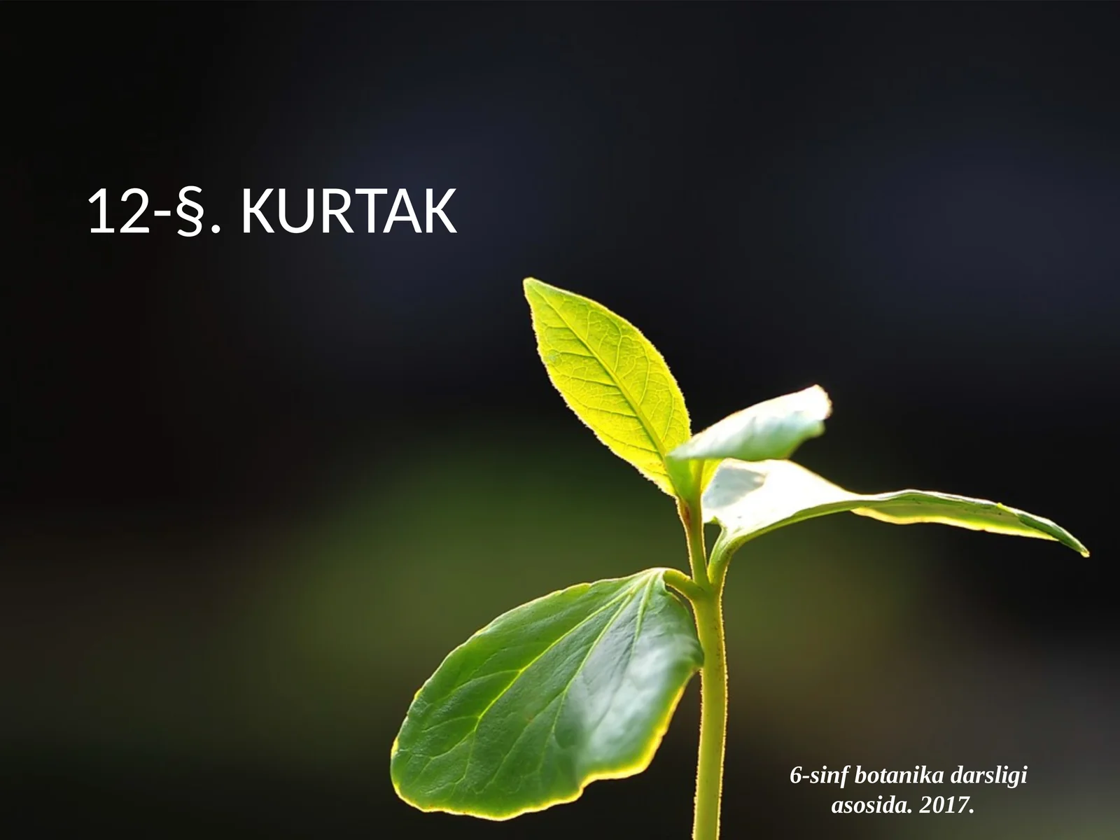 6-sinf Botanika Kurtak