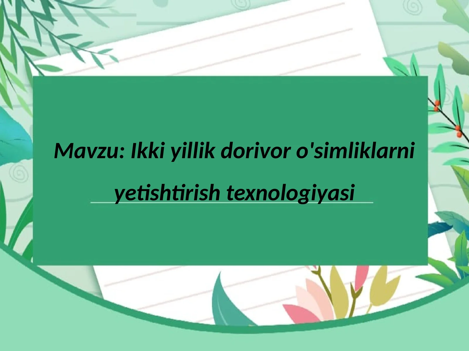Ikki yillik dorivor o'simliklarni yetishtirish texnologiyasi
