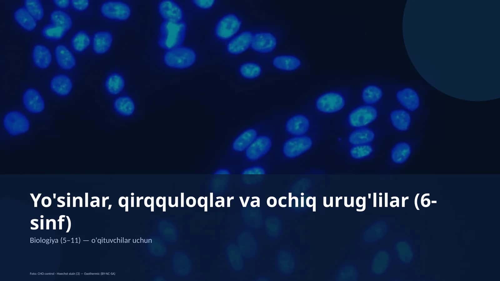 Yo'sinlar, qirqquloqlar va ochiq urug'lilar (6-sinf)
