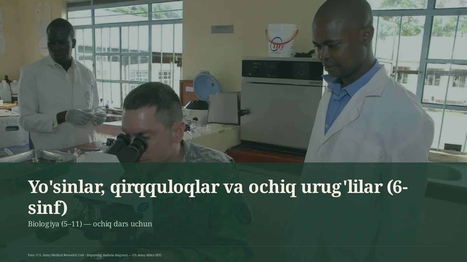 Yo'sinlar, qirqquloqlar va ochiq urug'lilar (6-sinf)
