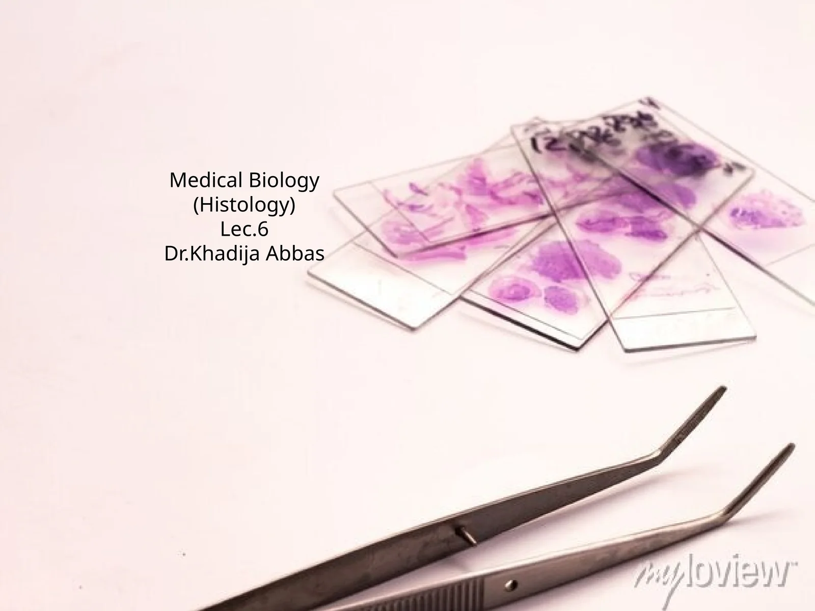 Medical Biology (Histology) Lec.6