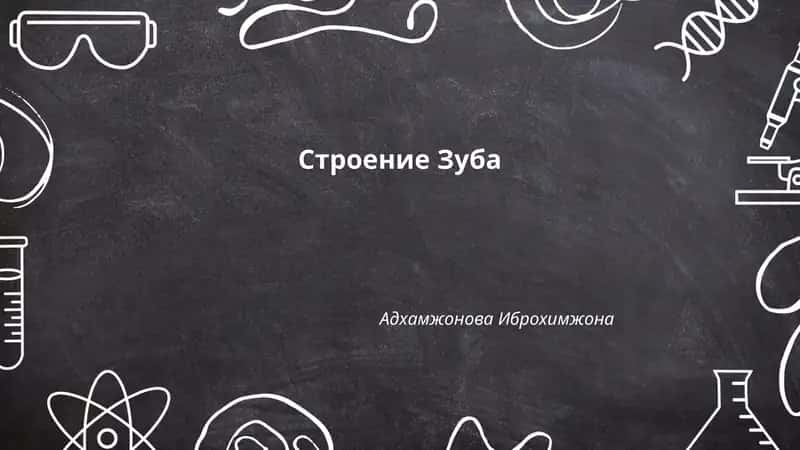 Строение Зуба