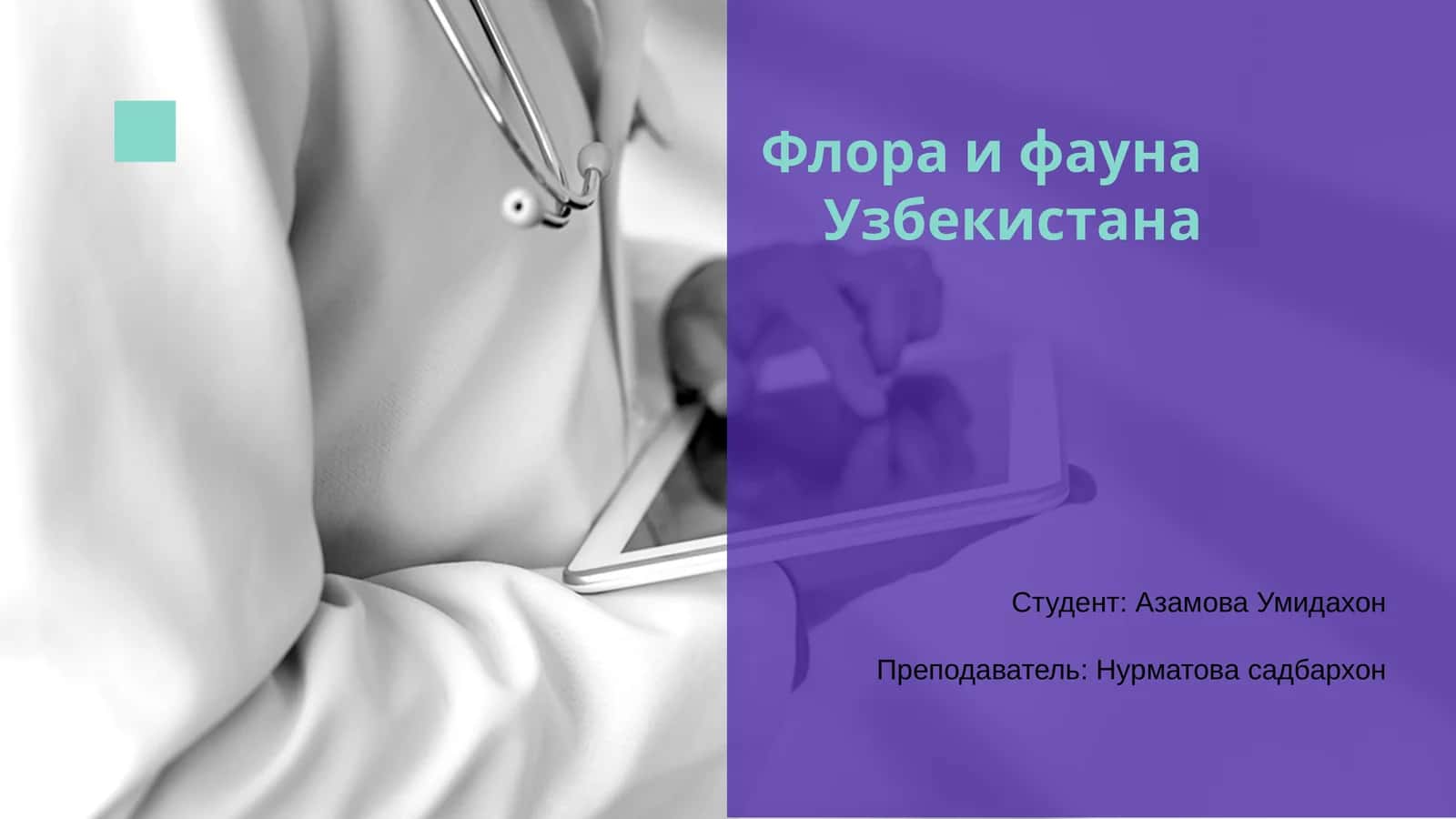 Флора и фауна Узбекистана